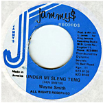 25 Aniversario del riddim Sleng Teng