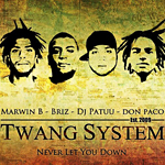 Twang System «Never Let You Down»