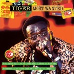 Tiger «Most Wanted»