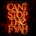 Kachafayah «Cant stop the fire»