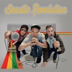  Beastie Revolution «Beastie Boys remixed»