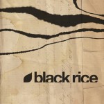 Primer trabajo de Black Rice