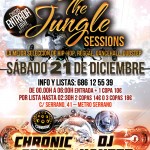 Flyer-jungle-21-12-13