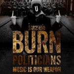 burn-politicians-2013