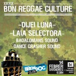 bdn reggae culture-14-febrero
