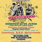 malviviendo-despedida