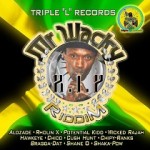 Mr Wacky R.I.P. Riddim (Video Medley) 