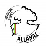 logo_allanai