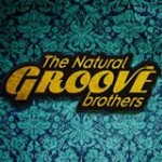 logo-thenaturalgroove