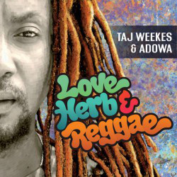 love-herb-reggae-e1454612627406