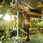 vuela_mad-division